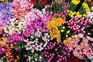 Sensor Tower：2月全球手游下载量TOP10